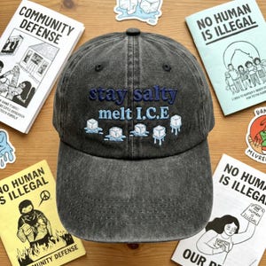 May include: A dark grey baseball cap with the embroidered text "stay salty melt I.C.E." in blue. The cap features an image of melting ice cubes. Small booklets and stickers with the text "NO HUMAN IS ILLEGAL" and "COMMUNITY DEFENSE" are around the cap.