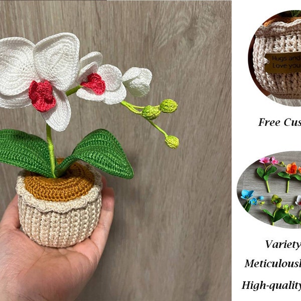Gehaakte orchideebloem, gepersonaliseerde orchideeplantpot, handgemaakte gebreide bloem, aangepaste naam met gehaakte plant Home Decor, gepersonaliseerd cadeau