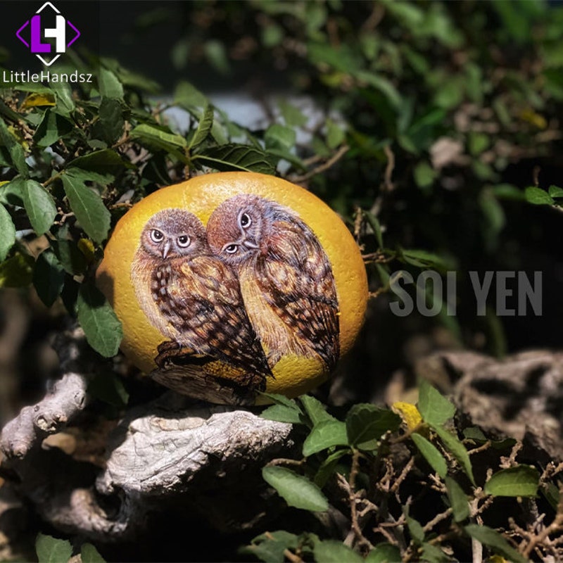 Hand Painted Rocks - Etsy