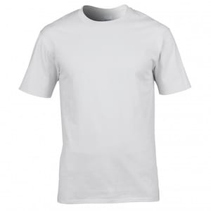 May include: A plain white t-shirt with short sleeves.