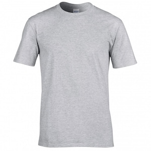 May include: A plain gray t-shirt with a short sleeve and a crew neck.