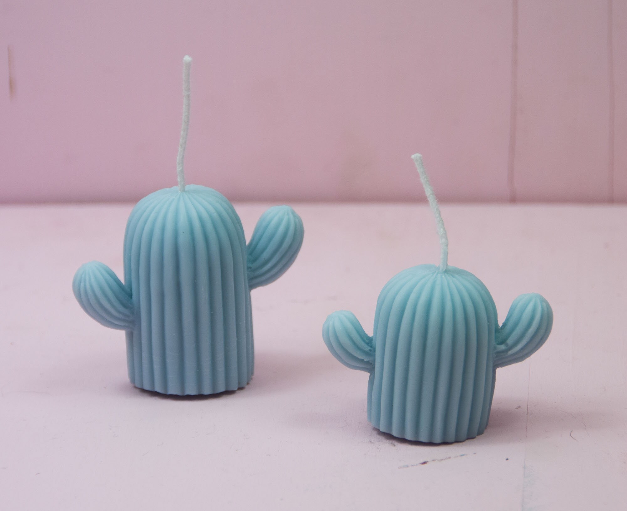 Bougies Cactus Duo - Grand et Petit