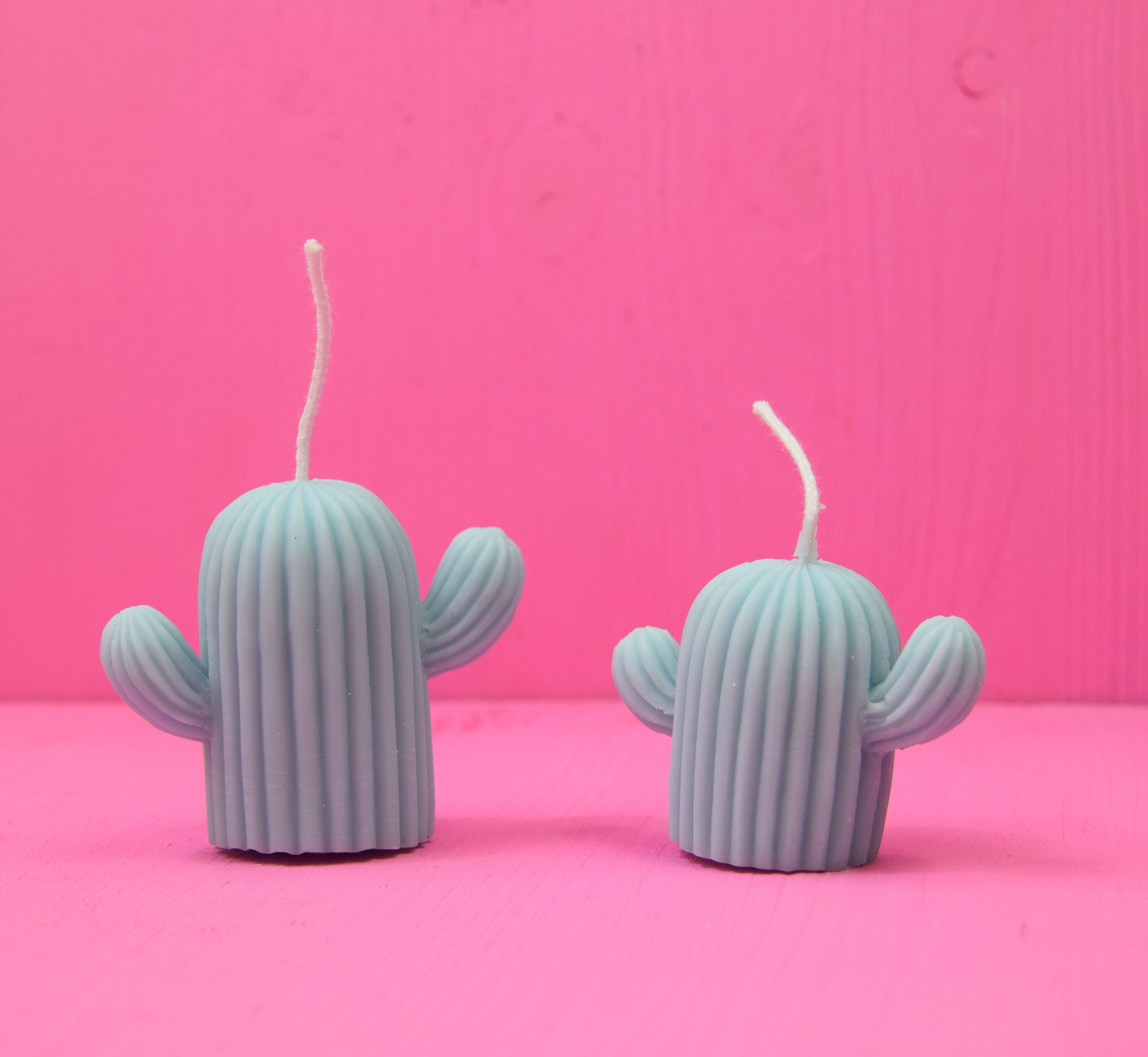 Bougie Cactus Grand Format