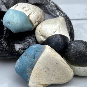 Vier einzigartige Drachenzähne. Nordostküste Englands