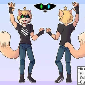 FURRY REFERENCE SHEET