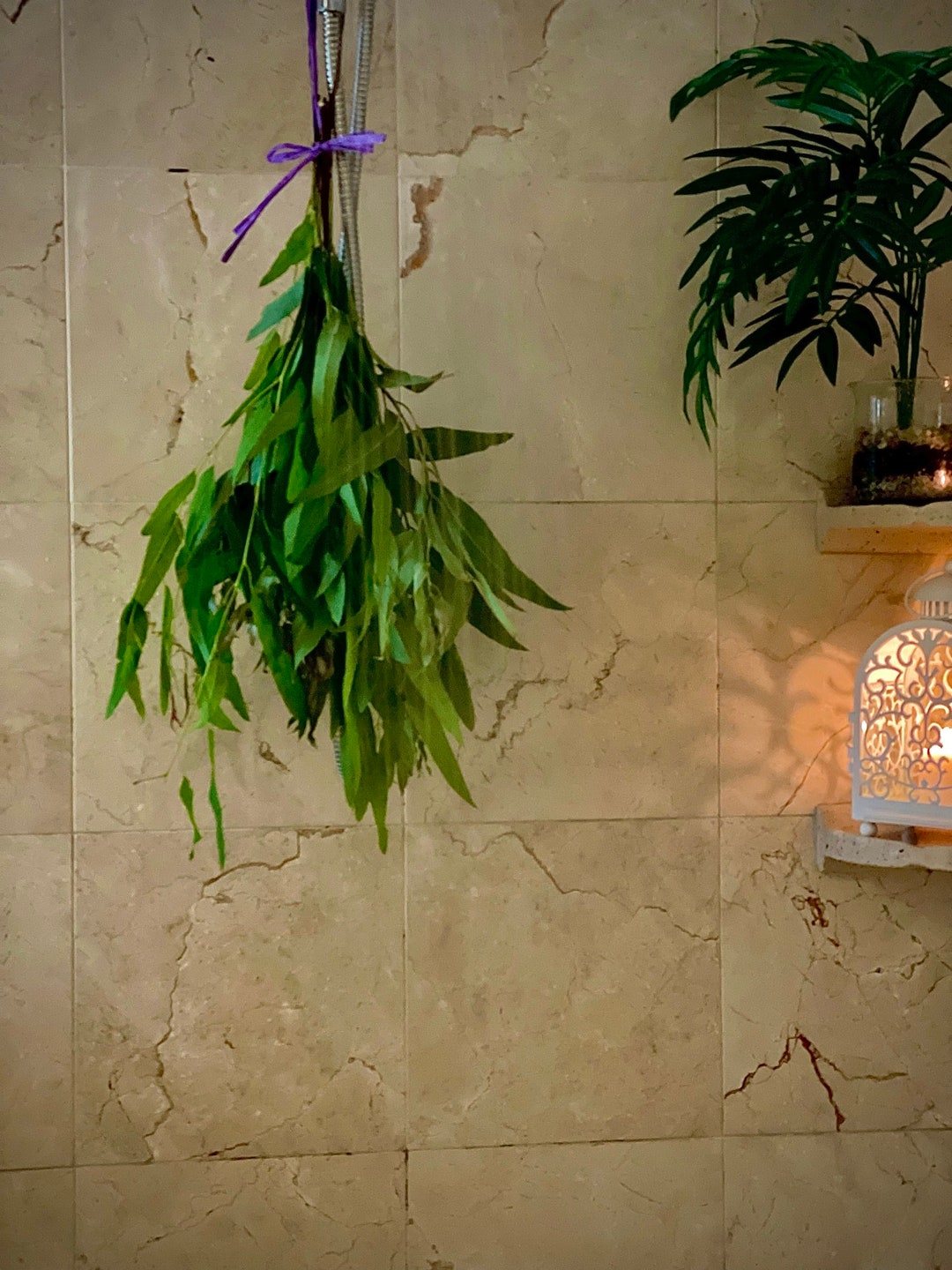 Long Leaf Eucalyptus Shower Bundle Etsy