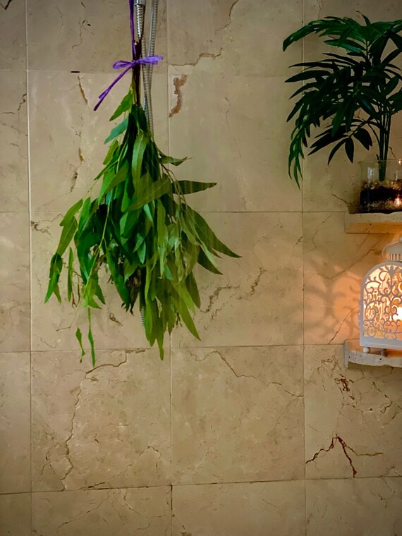 Long Leaf Eucalyptus Shower Bundle Etsy