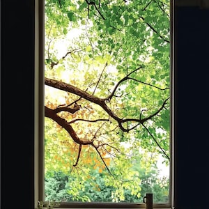 May include: A window framing a view of a tree with brown branches and green leaves. The leaves are various shades of green, with hints of yellow and orange. A mug is visible on the windowsill.