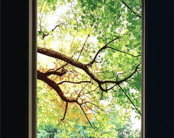Forest Canopy Privacy Window Film: Static Cling Frosted Glass Sticker with Nature Design