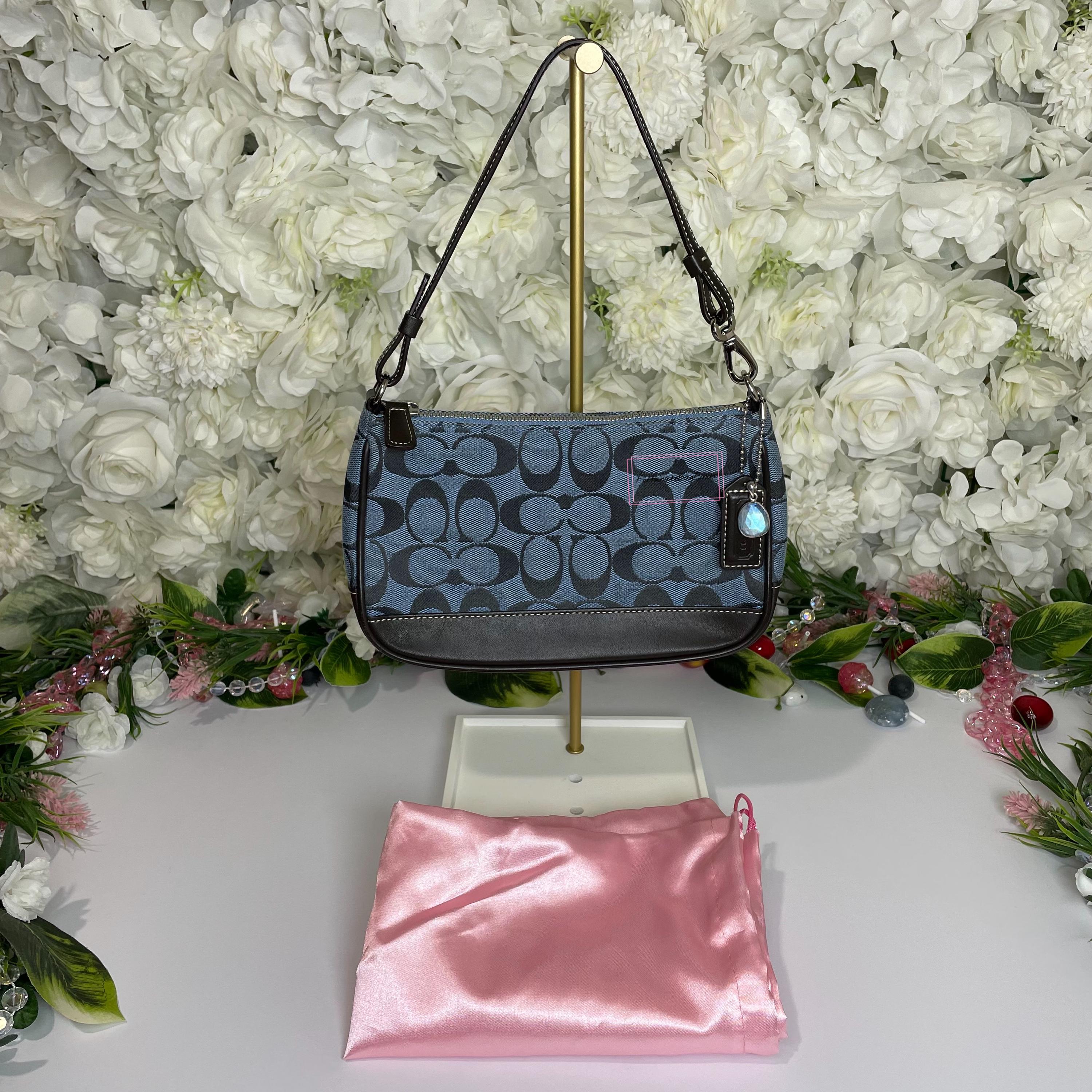 Y2K Vintage Coach Bag 6094 Blue 2000s Demi Mini Pochette Signature