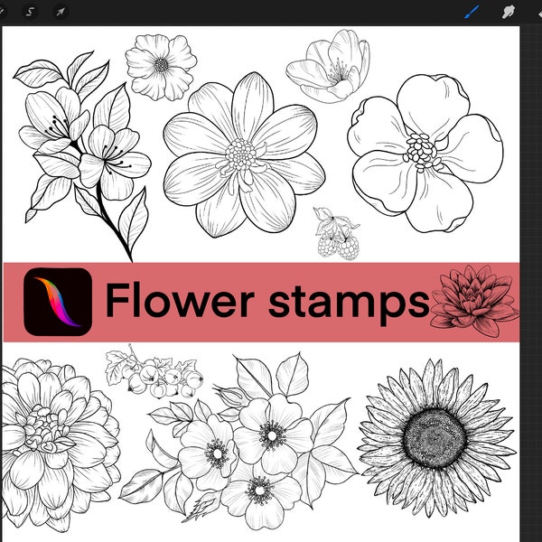 95 flower stamps, Procreate Flower stamps, Flower line art, Procreate brushes, Drawing templates,