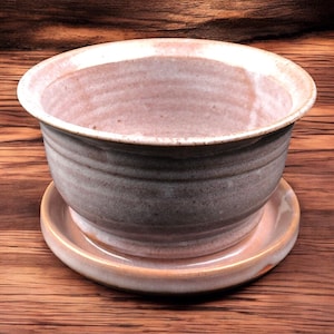 Puede incluir: Una maceta de cerámica blanca con un platillo a juego. La maceta tiene una forma ligeramente redondeada y un glaseado moteado sutil.