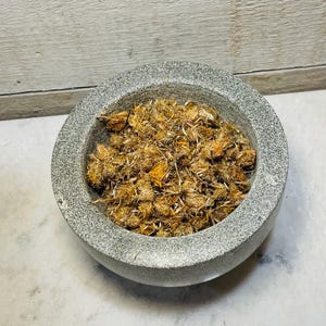 Arnica-Arnica Montana