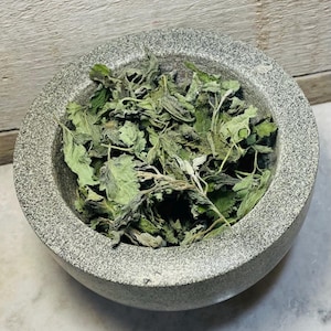 Catnip-Nepeta Cataria