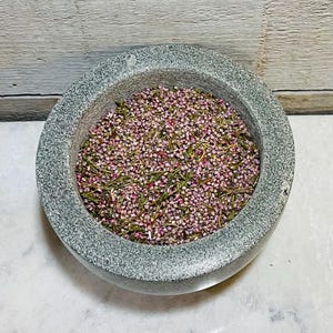 Heather-Calluna Vulgaris