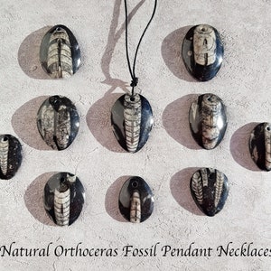 Orthoceras Pendant Necklace, Orthoceras Pendant, Teardrop, Fossil Pendant, Orthoceras Necklace, Fossil Pendant Necklace,  Men, Women, Boys