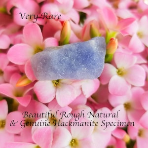 Könnte beinhalten: Ein hellblaues, grob geschnittenes Hackmanit-Exemplar liegt auf einem Bett aus rosa Blüten. Der Text "Very Rare" steht oben und "Beautiful Rough Natural & Genuine Hackmanite Specimen" unten.
