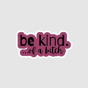 Vinyl Sticker | Be Kind of a  B*tch |Edgy Stickers | Adult Humor | Girl Boss Sticker | Female Strength | Empowerment Gift | Sassy Sticker