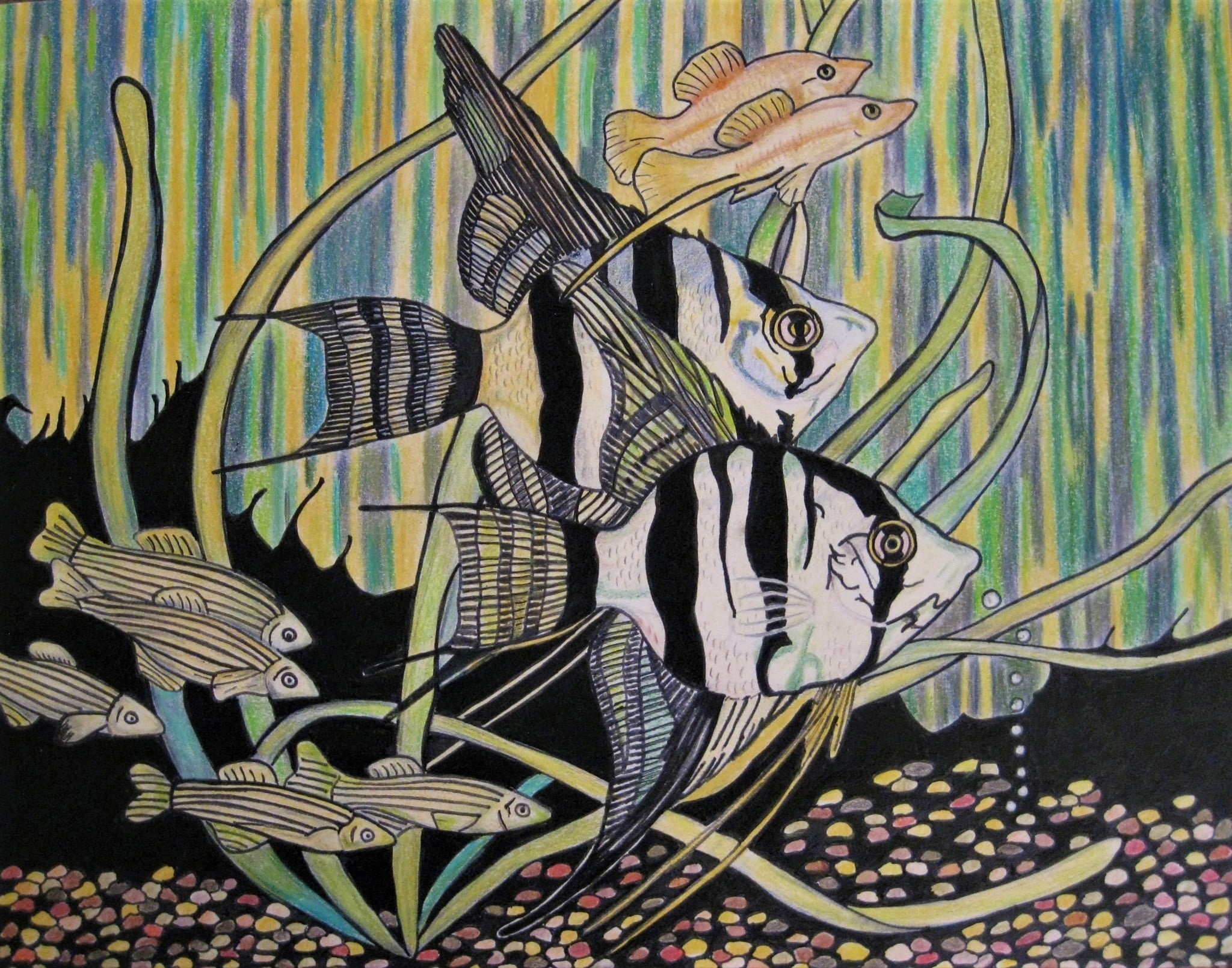 Mixed Media Drawing colored Pencil/pen & Ink something's Fishy Etsy