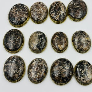 Turtela Cabochon Grooved, High quality Grooved Mix Shape And Size