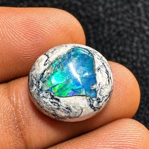 May include: A round cabochon gemstone featuring a central, iridescent blue and green opal inlay surrounded by a textured, white and black matrix stone. The polished surface displays a vibrant play of color within the crystalline center.