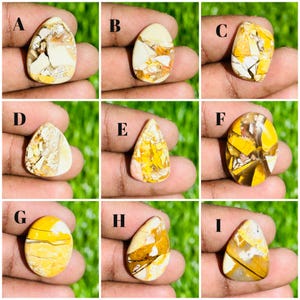 Peut inclure: Neuf cabochons de pierres précieuses polies de différentes formes, dont ovales, en forme de goutte et triangulaires. Les pierres présentent un mélange de couleurs, dont crème, jaune et marron, avec des motifs et des veinures uniques. Chaque pierre est tenue dans une main.