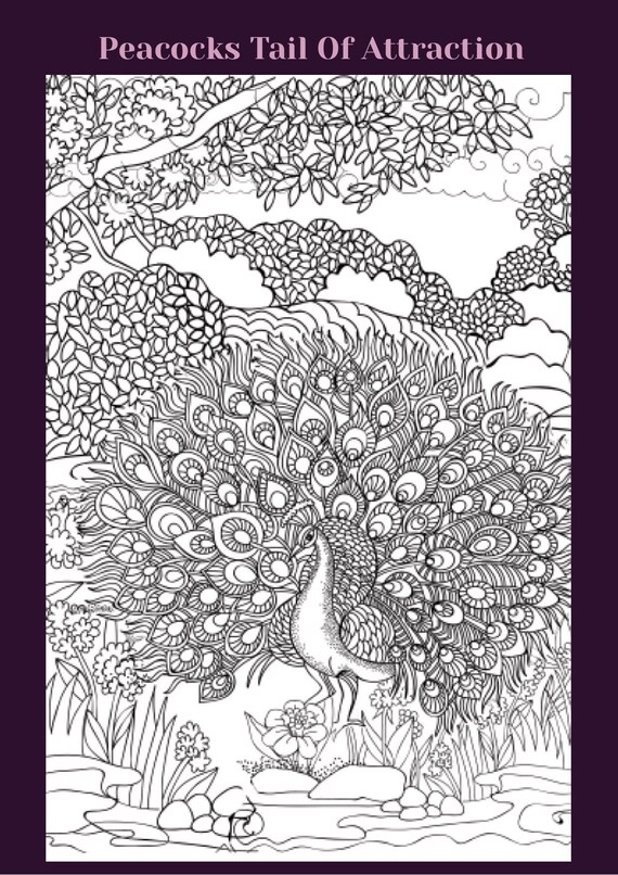 Simple Colouring Pages - Etsy