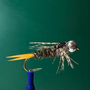 Può includere: Primo piano di una mosca da pesca con testa argentata, corpo nero e coda gialla. L'amo è attaccato a una base blu, su sfondo verde. La mosca è progettata per imitare un insetto.