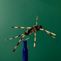 Stonefly! Realistic, durable, perfect color choices. Tungsten bead. Extra weight. Fly Fishing Flies from Etsy's Best Selling Fishing Shop!
