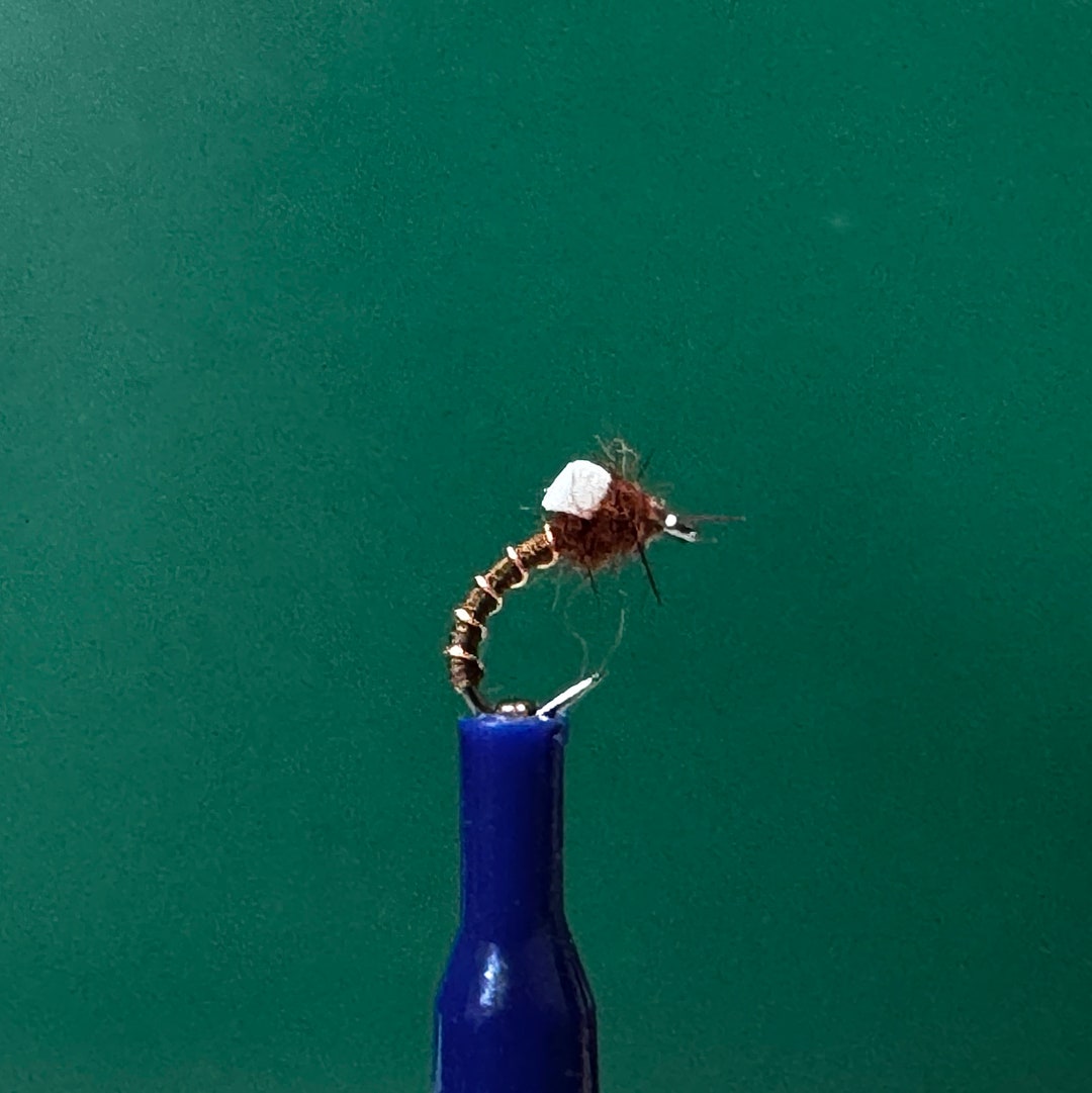 Chocolate Foam Wing Emerger! AKA Chocolate Thunder This is