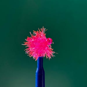 Mini Blob! Shocking Pink. Awesome attractor for Trout, Steelhead and Salmon too! Euro, Dry Dropper and Indicator ready!