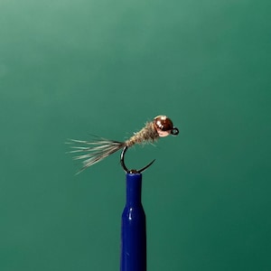 Mosche Per Trota Acqua Dolce 6 Ninfee Per Pesca A Mosca Orecchio Di Lepre - Con Testina Dorata E Flashback, Misce 10/12, Per Trota Honeycomb Alpha Mosche Per Trota Acqua Dolce 6 Ninfee Per Pesca A Mosca Orecchio Di Lepre - Con Testina Dorata E Flashback, Misce 10/12, Per Trota Honeycomb Alpha