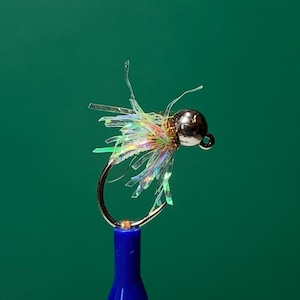 May include: A small iridescent fly fishing lure with a silver bead head and a clear body with holographic iridescent fibers.