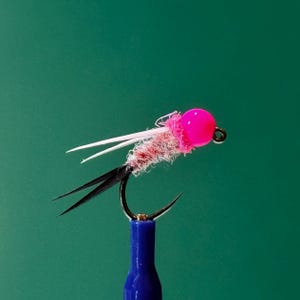 May include: A pink and white fly fishing lure with a pink bead head and white feathers.