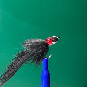 May include: A black fly fishing lure with a red and silver bead head.