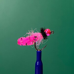 Può includere: Primo piano di un'esca da pesca a mosca rosa e nera. L'esca ha un corpo rosa con macchie nere, una testa nera e una perla rossa. L'amo è attaccato a un supporto blu su sfondo verde.