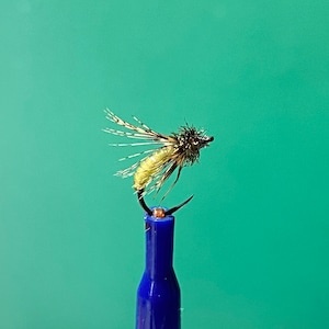 Caddis Fly. One of the BEST Fly Fishing Flies. Great Euro Nymph!