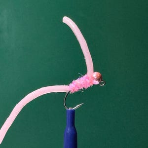 May include: A pink fishing fly with a curved, worm-like body and a small, pink, fuzzy section near the hook. The hook is silver and attached to a blue handle, set against a green background.