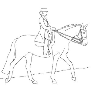 Dressage Coloring Book