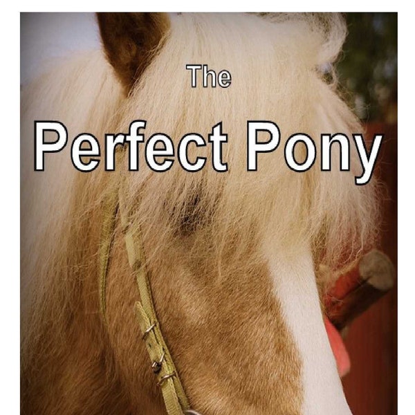 The Perfect Pony