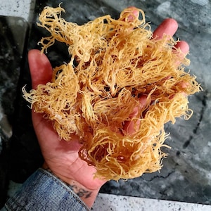 Raw Dry Organic Seamoss from St.Lucia