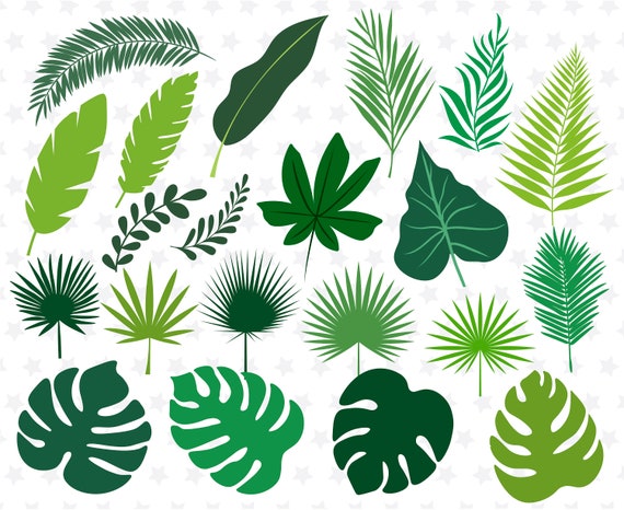Tropical Leaves Svg Monstera Svg Tropical Leaf Svg Leaves Svg - Etsy Canada Tropical Leaves Svg Monstera Svg Tropical Leaf Svg Leaves Svg - Etsy Canada