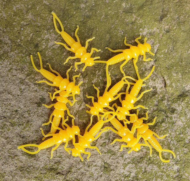 Soft Plastic Stonefly Nymphs Etsy