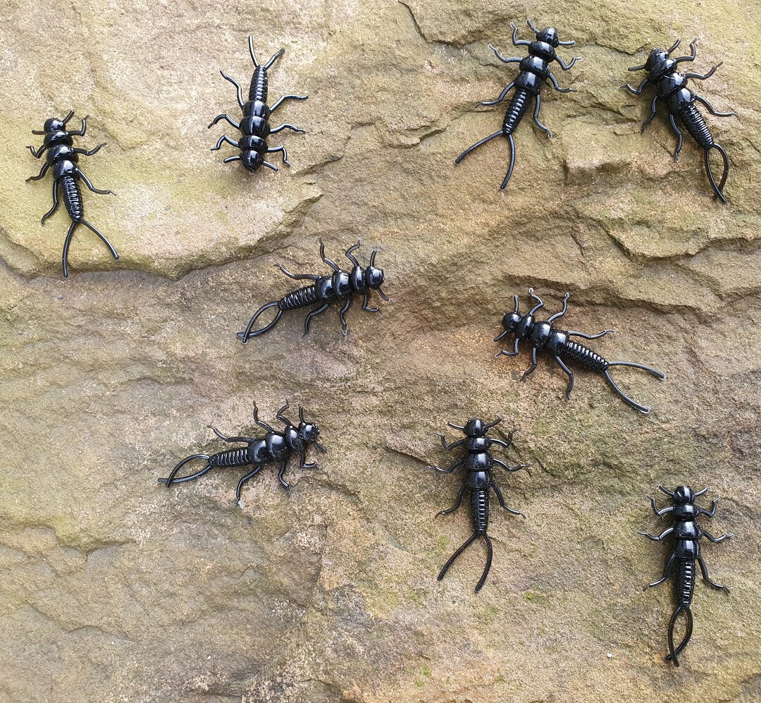 Soft Plastic Stonefly Nymphs Etsy