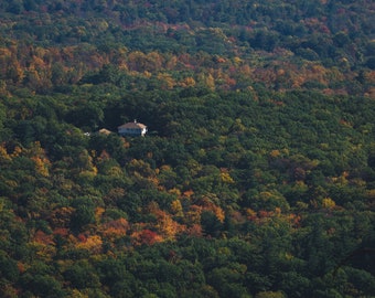 Paisaje de otoño - Descarga de fotos digitales