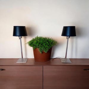Pair of height-adjustable table lamps