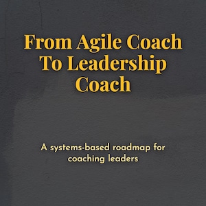 Op de afbeelding: Een boekomslag met een donkergrijze, getextureerde achtergrond met de gele tekst From Agile Coach To Leadership Coach en de ondertitel A systems-based roadmap for coaching leaders, gecentreerd in een strak, professioneel schreefloos lettertype.