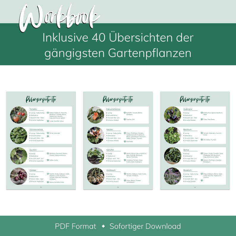 Digitales Workbook: Erstelle deinen eigenen Gartenplan in 10 Schritten, inklusive 40 Übersichten der gängigsten Gartenpflanzen imagem 3