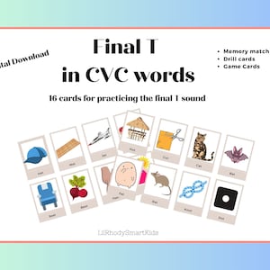 Final T sound in CVC word with early consonant sounds.  Great for drill or articulation games- 16 full color picture flash cards