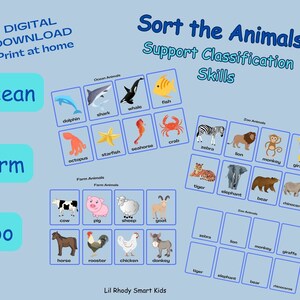 Op de afbeelding: Een printbare educatieve activiteit voor kinderen om dieren in drie categorieën te sorteren: oceaan, boerderij en dierentuin. Het werkblad bevat kleurrijke illustraties van verschillende dieren, waaronder een dolfijn, haai, walvis, vis, krab, zeester, zeepaardje, octopus, koe, varken, schaap, geit, paard, haan, kip, ezel, zebra, leeuw, aap, giraffe, tijger, olifant, beer en neushoorn.